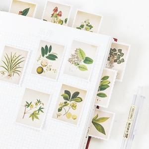 Botanische Stempel Sticker Set, Blumen, Pflanzen Sticker, Vintage Botanische Illustration Planer Sticker