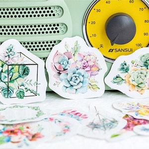 Paquete de pegatinas suculentas, pegatinas de plantas de interior, caja de copos de pegatinas de terrario, paquete de pegatinas de planificador de revistas creativas