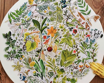 50PCS Vintage Planten Stickers Pack, Doorschijnende Bloemen Sticker Zak, Planner, Scrapbooking, Planten, Tuin, Ephemera
