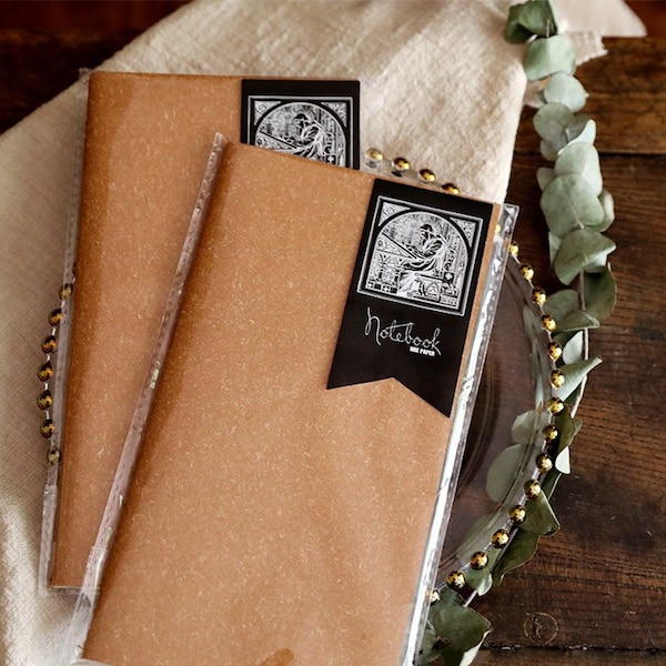 Assorted Paper Traveler's Notebook Insert, Parchment Paper, Frosted Paper, Canvas Paper, TN Refill, Junk Journal, Vintage Journal