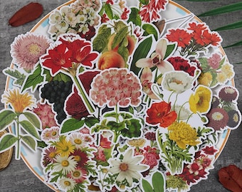 50 PCS Vintage Flowers Stickers Pack B, Vinyl Flowers Sticker Sack, Planner, Scrapbooking, Plants, Garden, Ephemera
