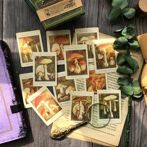 Mycologie Encyclopedie Stickers Pack, Paddestoel Illustratie Stickers, Schimmels, Plantkunde Thema Paper Card voor Junk Journal