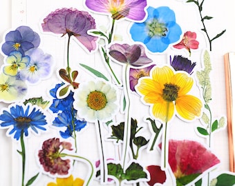 May include: A collection of colorful pressed flower stickers featuring various types of flowers, including purple, blue, yellow, and white flowers. The stickers are perfect for adding a touch of nature to journals, planners, and other craft projects.