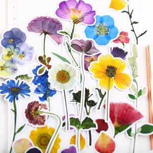 Paquete de pegatinas de flores secas, pegatinas de diario de flores prensadas preservadas, pegatinas de vinilo floral, pegatinas de papelería