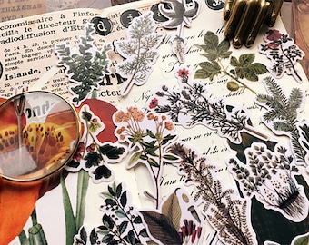 21 PCS Vintage Plants Stickers Pack, Translucent Botanical Sticker Sack, Planner, Scrapbooking, Plants, Garden, Floral, Junk Journal