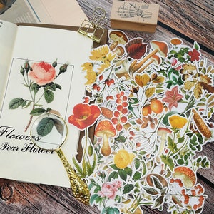 85PCS Vintage Flowers Stickers Pack Set B, Translucent Flowers Sticker Sack, Planner, Scrapbooking, Plants, Garden, Ephemera