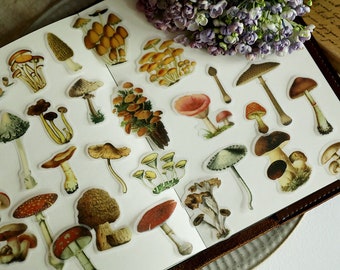 100 PCS Translucent Mushroom Stickers Pack, Vintage Fungi Ephemera Sticker Set, Junk Journal, Mushrooms, Planner, Scrapbook Stickers