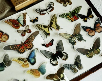 80PCS Translucent Butterfly Stickers Pack, Vintage Journal, Ephemera, Junk Journaling Kit, Planner, Scrapbook, Butterflies