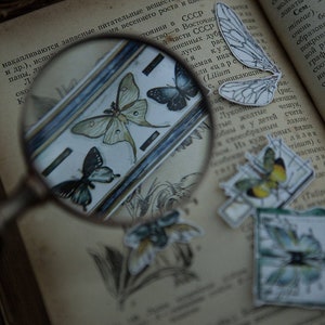 Specimen Collector: Insects Stickers Pack, Museum Series Stickers, Butterfly Themed Sticker Flakes, Beetle, Moth