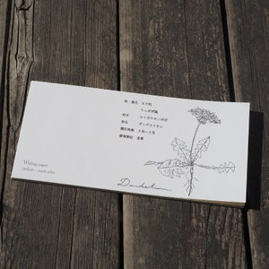Hutte Ippitsusen Notizblock, Botanischer Illustrations-Notizblock, japanisches Kalligraphiepapier für Briefe und Journal