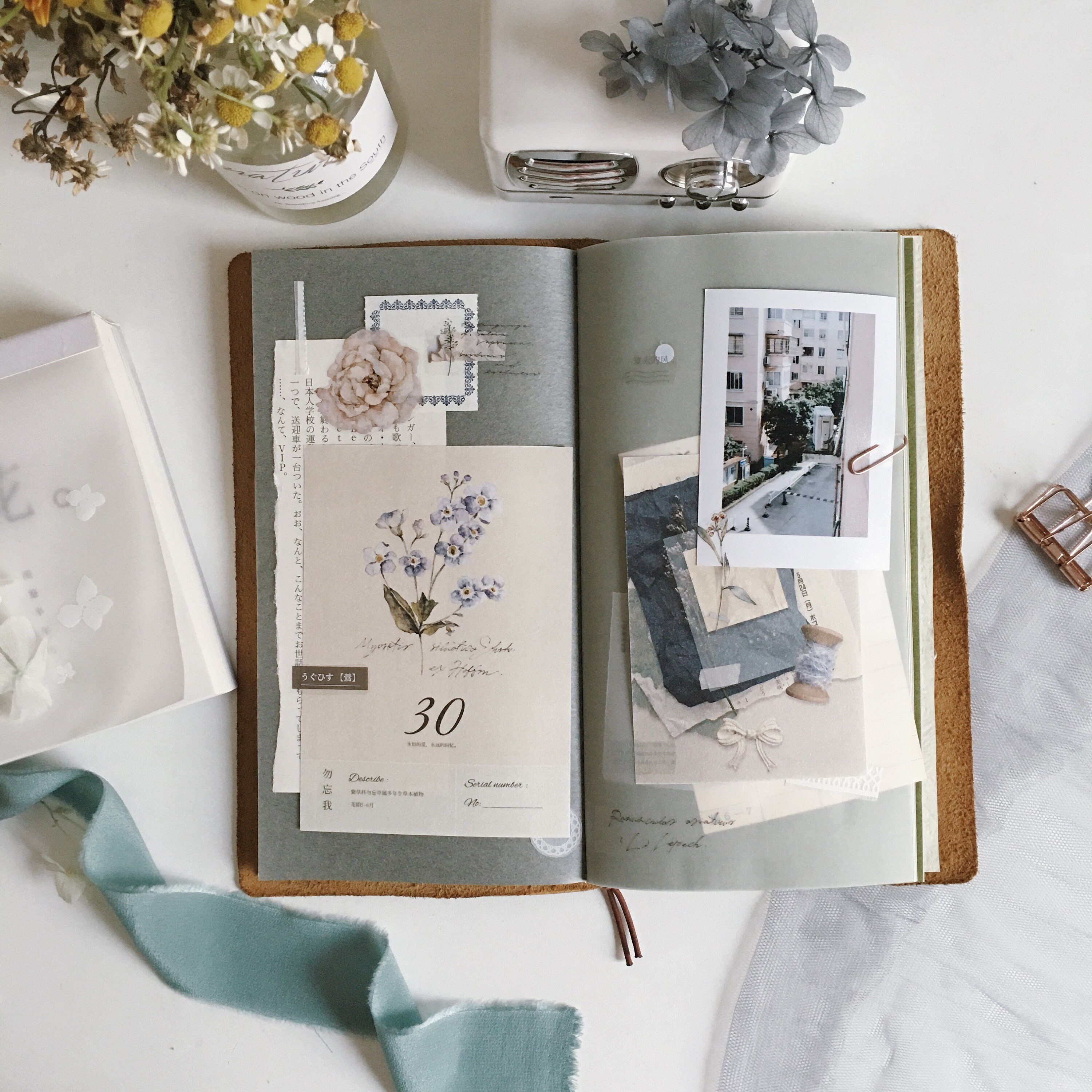 Freckles Tea Collage Memo Paper Set Original Design Blank Etsy