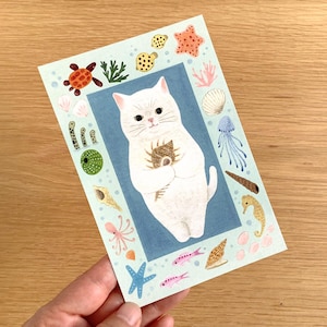 Cartolina gatto bianco, cartolina illustrata 4Legs, cartolina gattino e conchiglie, cartolina di compleanno gatto