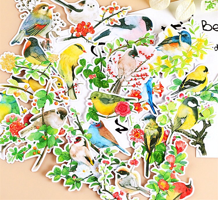 Birds Sticker Pack Songbird Bird Stickers Ephemera Animals 
