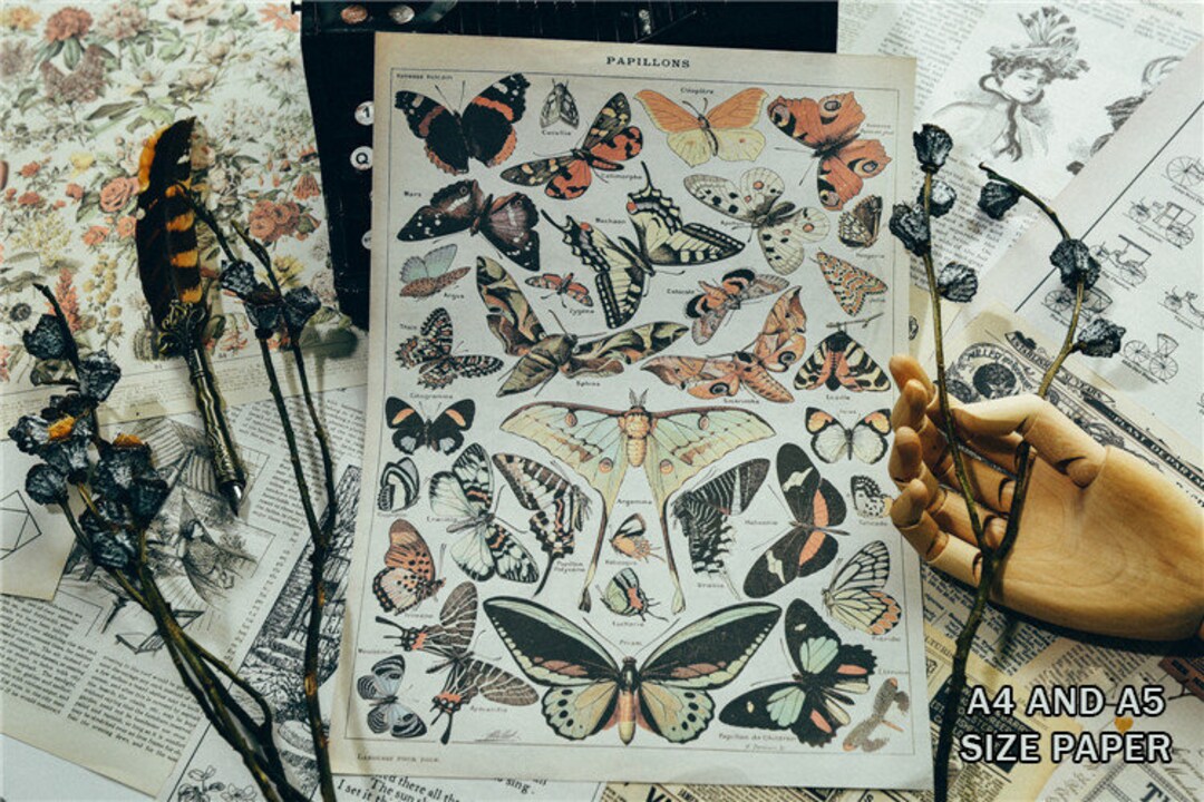 Vintage Style Collage Material Paper Science Nature Scrapbook Journal  Planner