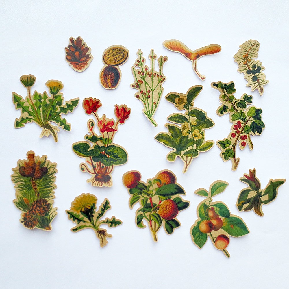 Download Kraft Plants Stickers Pack Vintage Flowers Ephemera ...