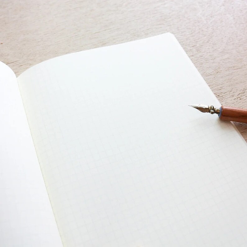 Puede incluir: Un cuaderno en blanco con una pluma estilogr&aacute;fica plateada y marr&oacute;n encima.