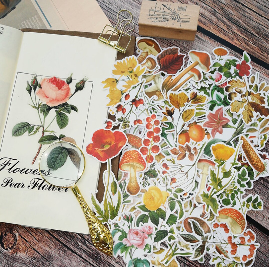 85PCS Vintage Flowers Stickers Pack Set B, Translucent Flowers Sticker ...