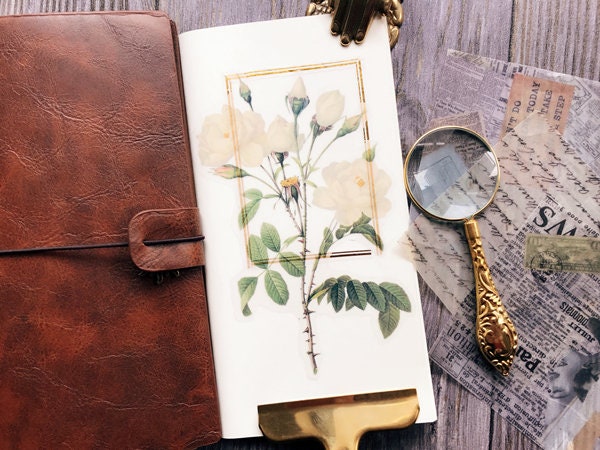 320 Adesivi Vintage Trasparenti In PET Con Tema Floreale E Naturale | Confezione Da 8 Fogli Per Scrapbooking E Decorazioni Fai Da Te