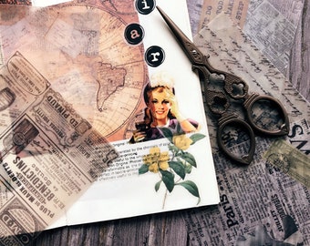 160 Pezzi Serry Adesivi Album Vintage Adesivi Trasparenti Piante Floreali Decorativi Retrò per Pianificatore Quotidiano fai da te