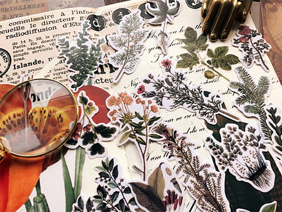 160 Adesivi Scrapbooking Fiori E Funghi – Trasparenti, Vintage, In PET, Per Album E Regali Fai Da Te