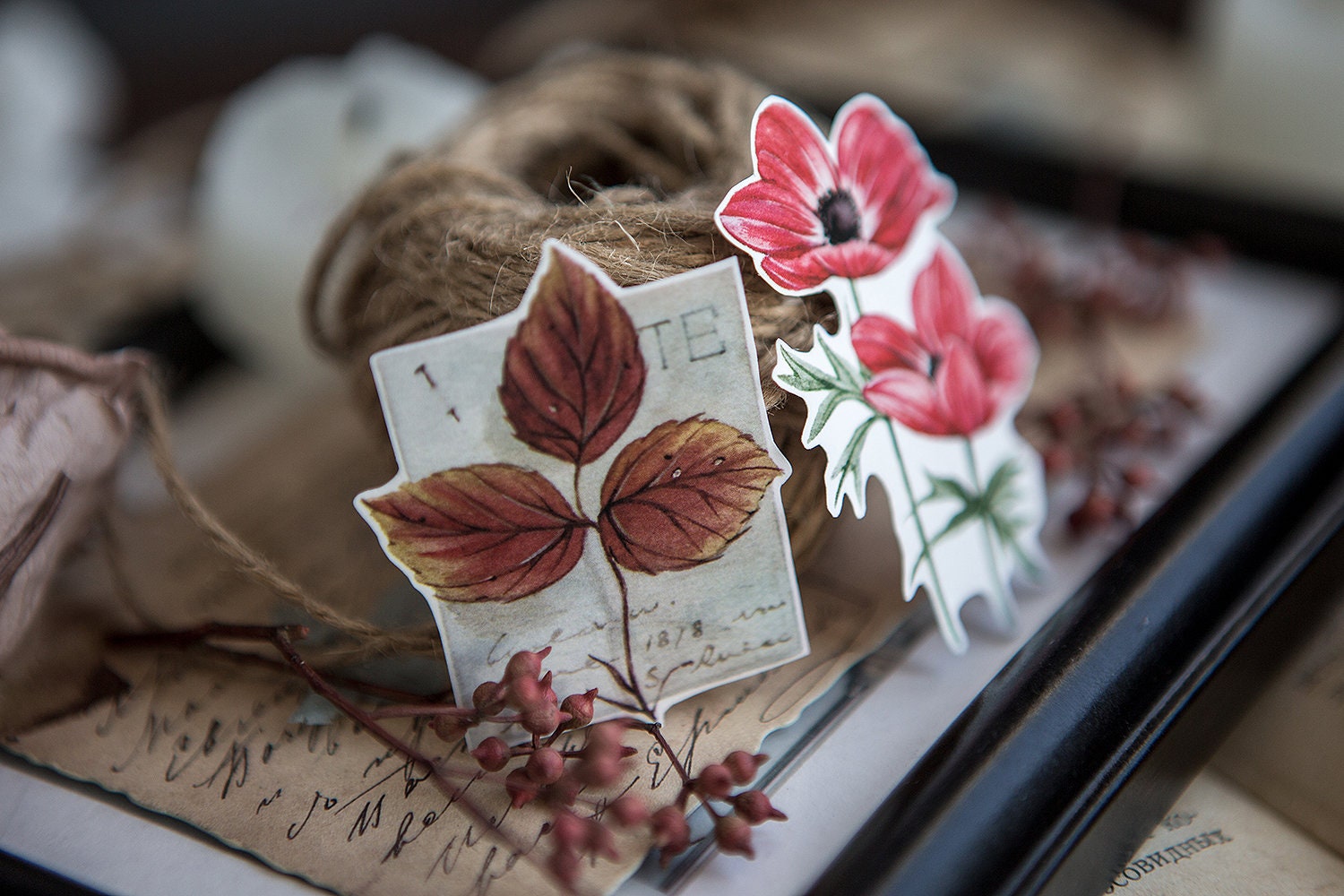 ドゥーリトルの庭 2 ステッカー セット、ダミア、植物ステッカー