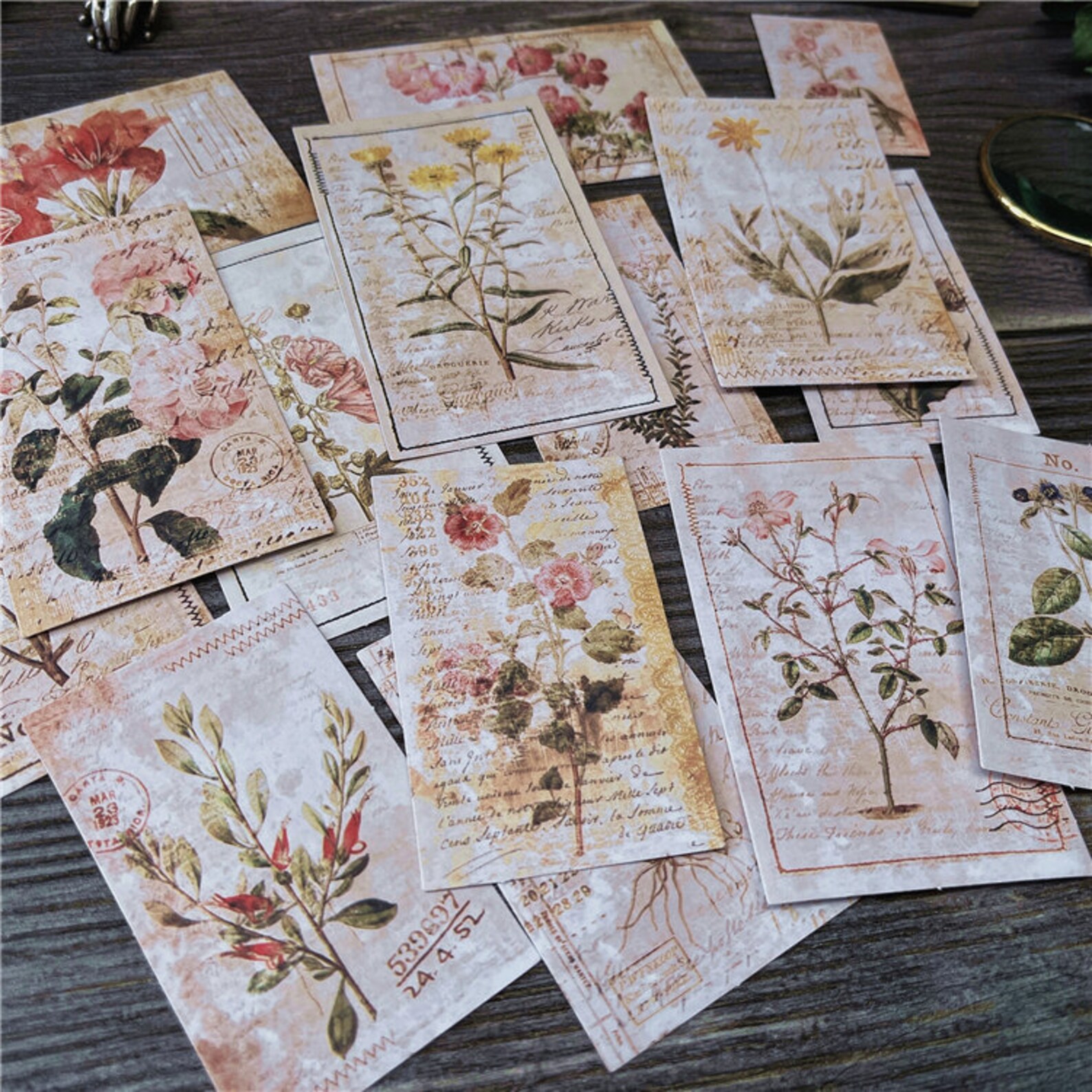 Botanical Illustration Stickers Pack Vintage Flower and - Etsy
