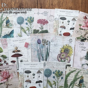 Vintage Prints Paper Pad, Botanical Illustration, Ledger, Sheet Music, Postcard Recipe Card Prints for Junk Journal, Ephemera Style D