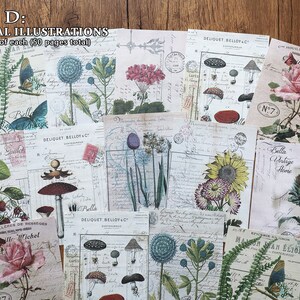 May include: A collection of 10 botanical illustrations featuring various flowers, mushrooms, and ferns. The illustrations are printed on a cream-colored paper with a vintage aesthetic. The text "STYLE D: BOTANICAL ILLUSTRATIONS 10 designs/5 of each (50 pages total)" is printed at the top of the image.