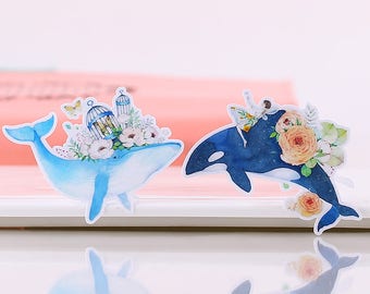 Whale Sticker Pack, Whale Dreams Vinyl Stickers, Laptop Stickers, Beluga, Humpback, Killer Whale, Ocean, Marine Animals Stickers