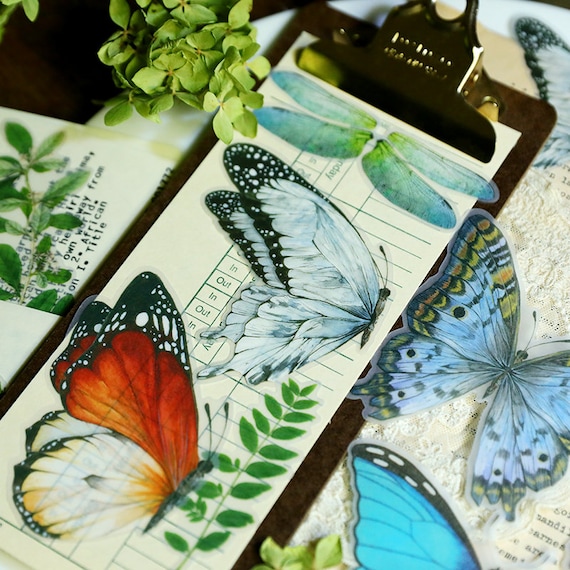 Large Butterfly Stickers Pack Translucent Natural Science Etsy