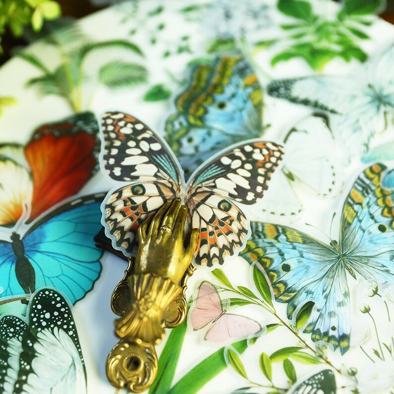 Large Butterfly Stickers Pack Translucent Natural Science Etsy