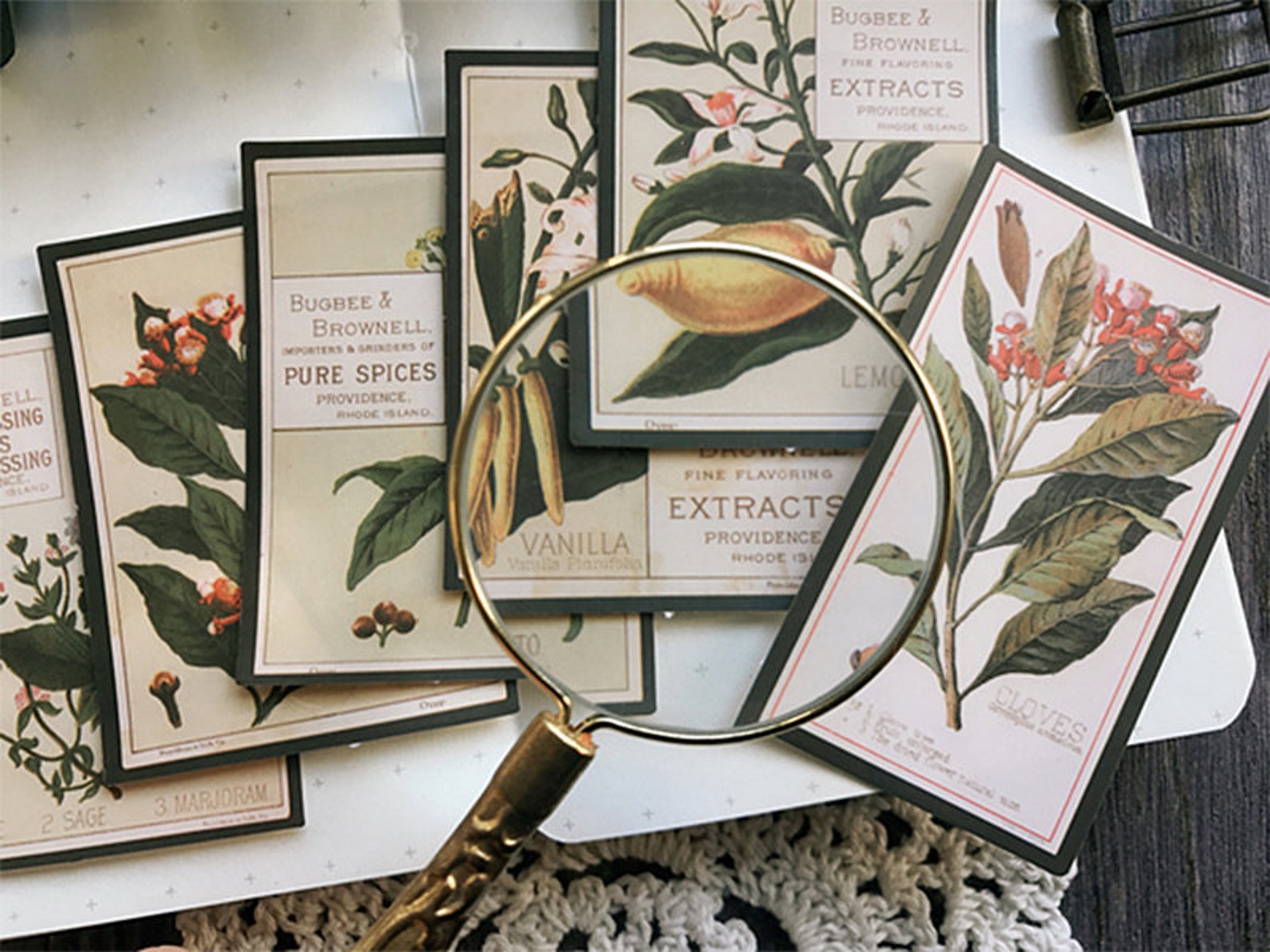 Botany Encyclopedia Stickers Pack Vintage Flower and Plants Etsy