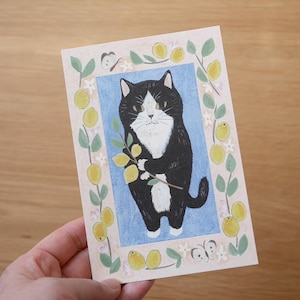 Tuxedo Cat and Lemons Postcard, 4Legs Illustrated Post Card, Kitty and Plants, Fruit Greeting Card, Birthday Card