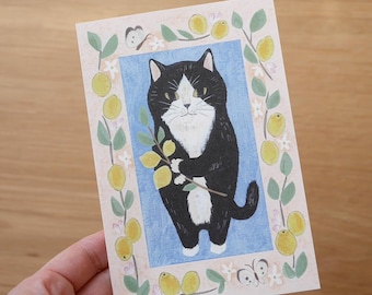 Puede incluir: Un gato negro y blanco con una mancha blanca en el pecho sostiene una rama de limones con hojas verdes y flores blancas. El gato está de pie sobre un fondo azul con un borde de limones amarillos, hojas verdes y flores blancas.