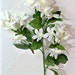THREE White Silk 27" STEPHANOTIS sprays, wedding flower-girl, bridal from Allstate Floral