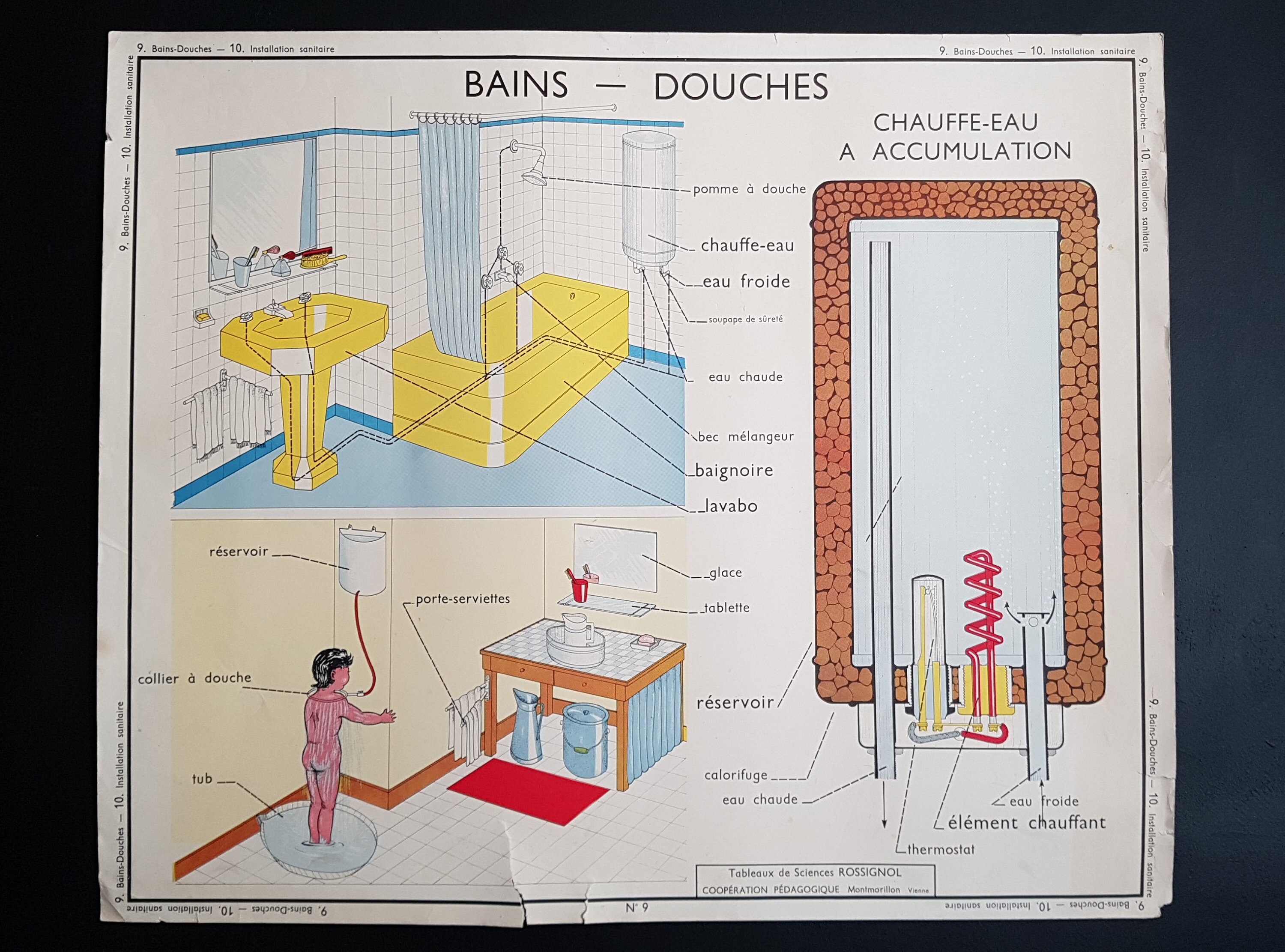 Affiche d'école Vintage Français Éducative. Rossignol