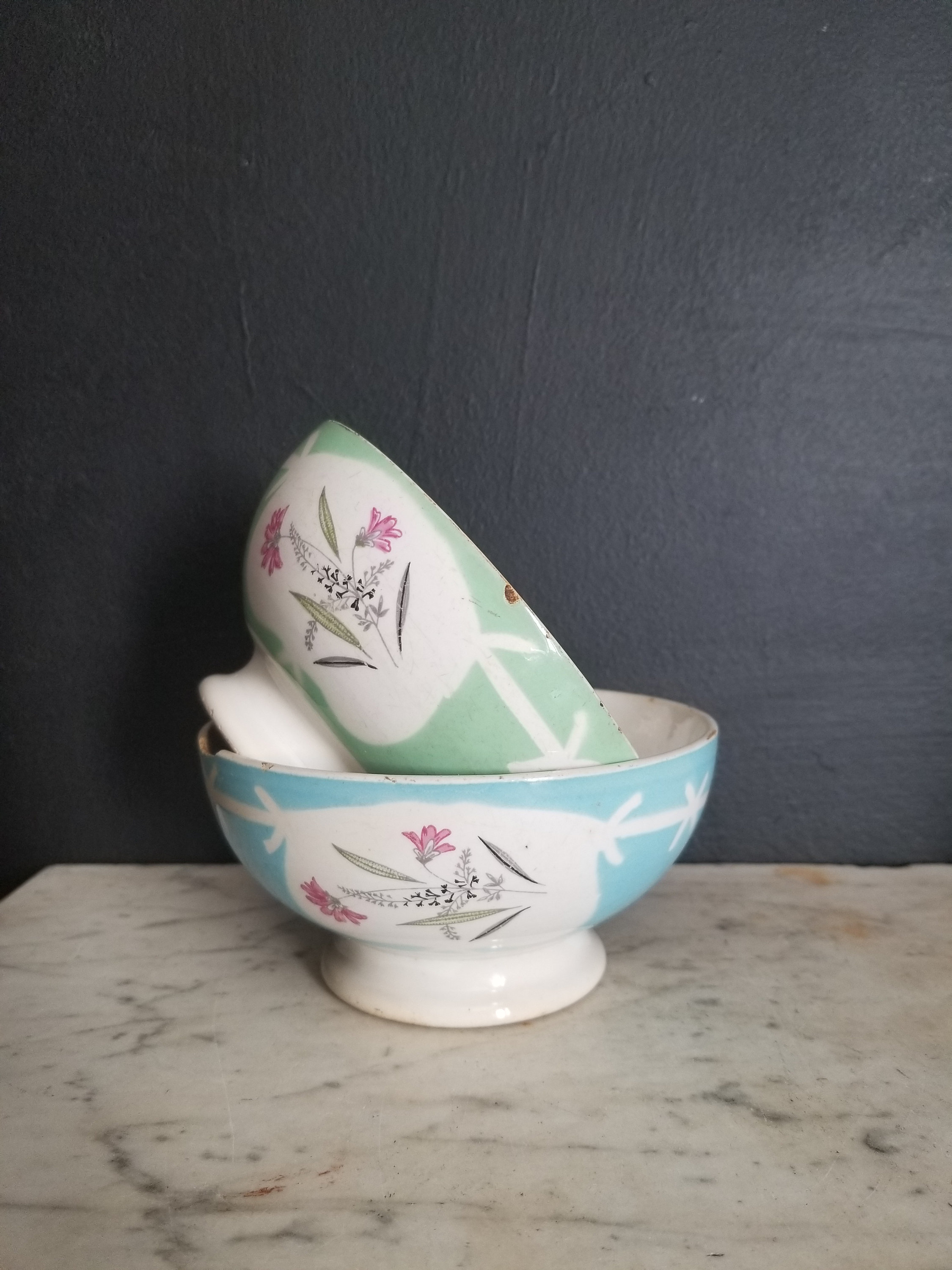 Paire de Bols Sarreguemines Antiques avec Décor Floral