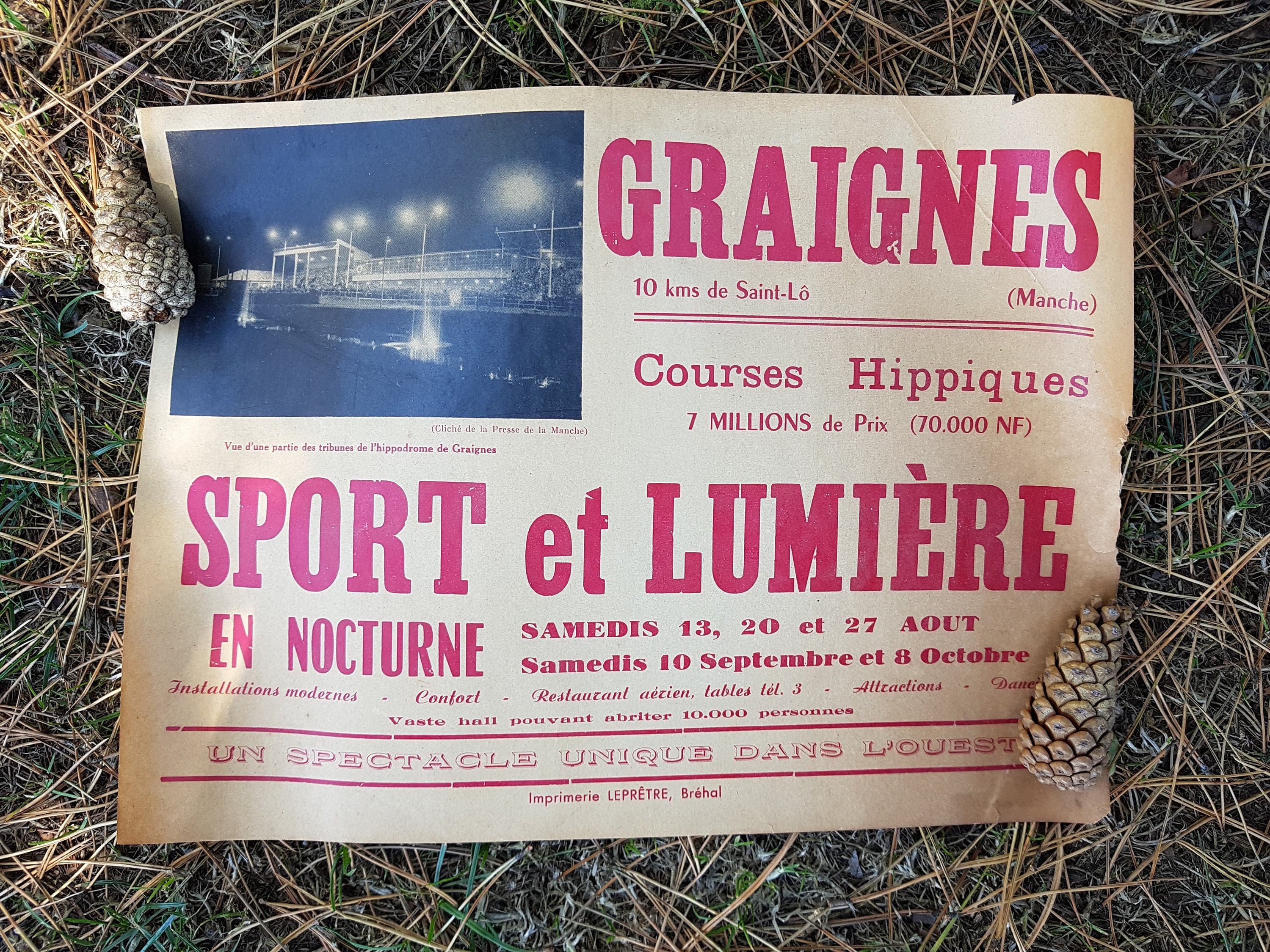 Affiche Originale Français Typographie de Courses Chevaux Rétro Typographie Annonce Publicité