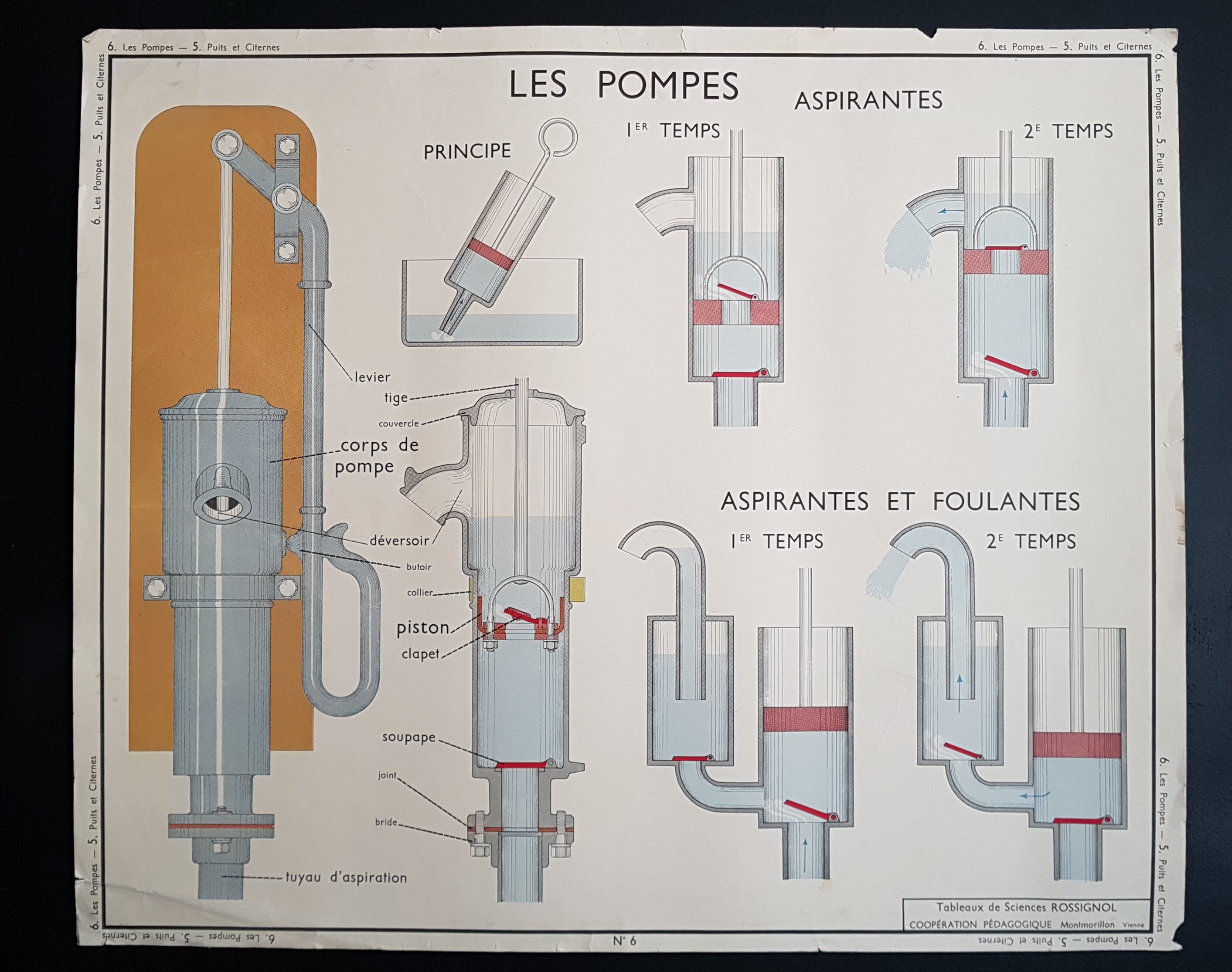 Affiche d'école Vintage Français Éducative. Rossignol