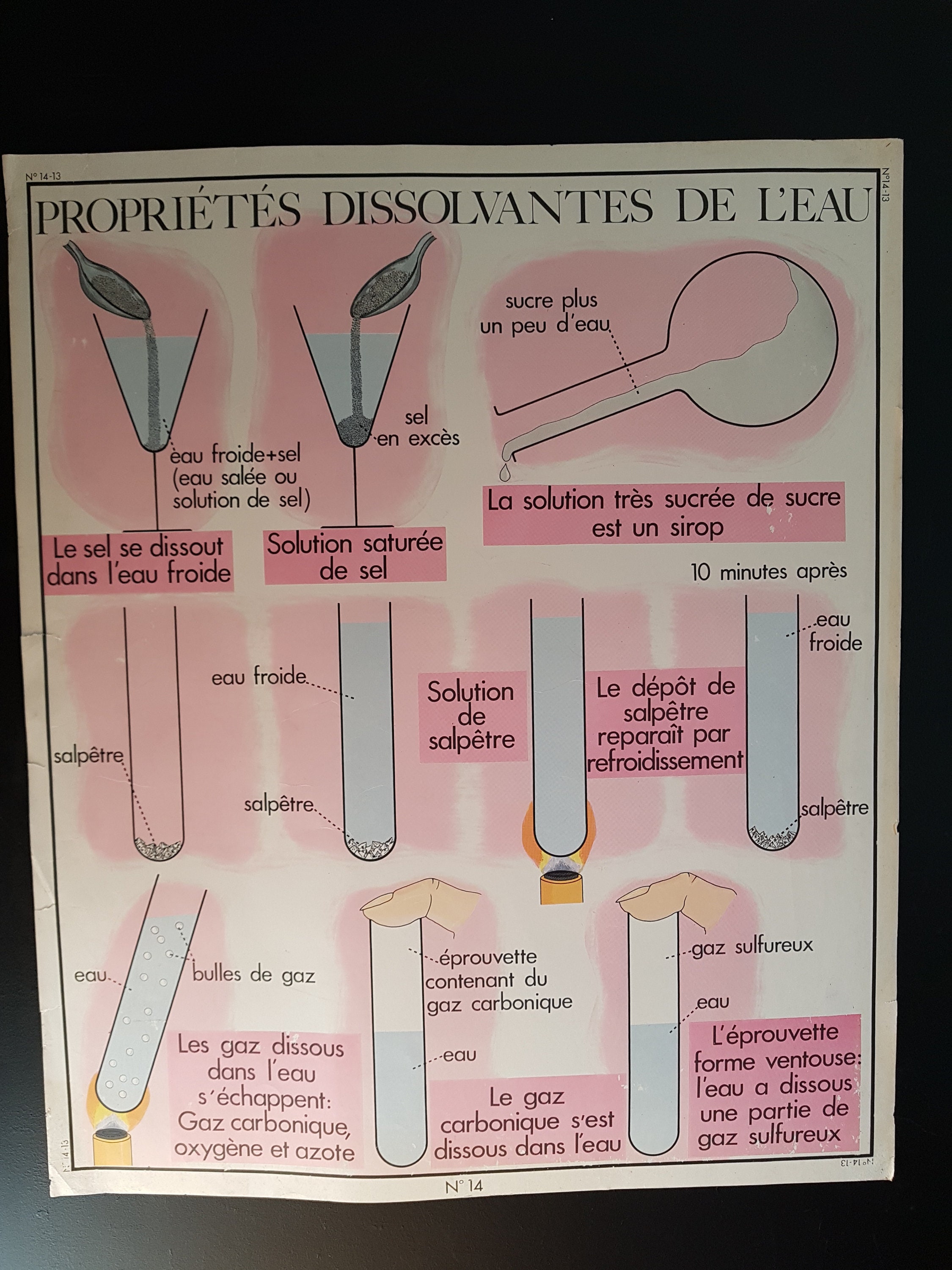 Français Affiche d'école Vintage Sciences
