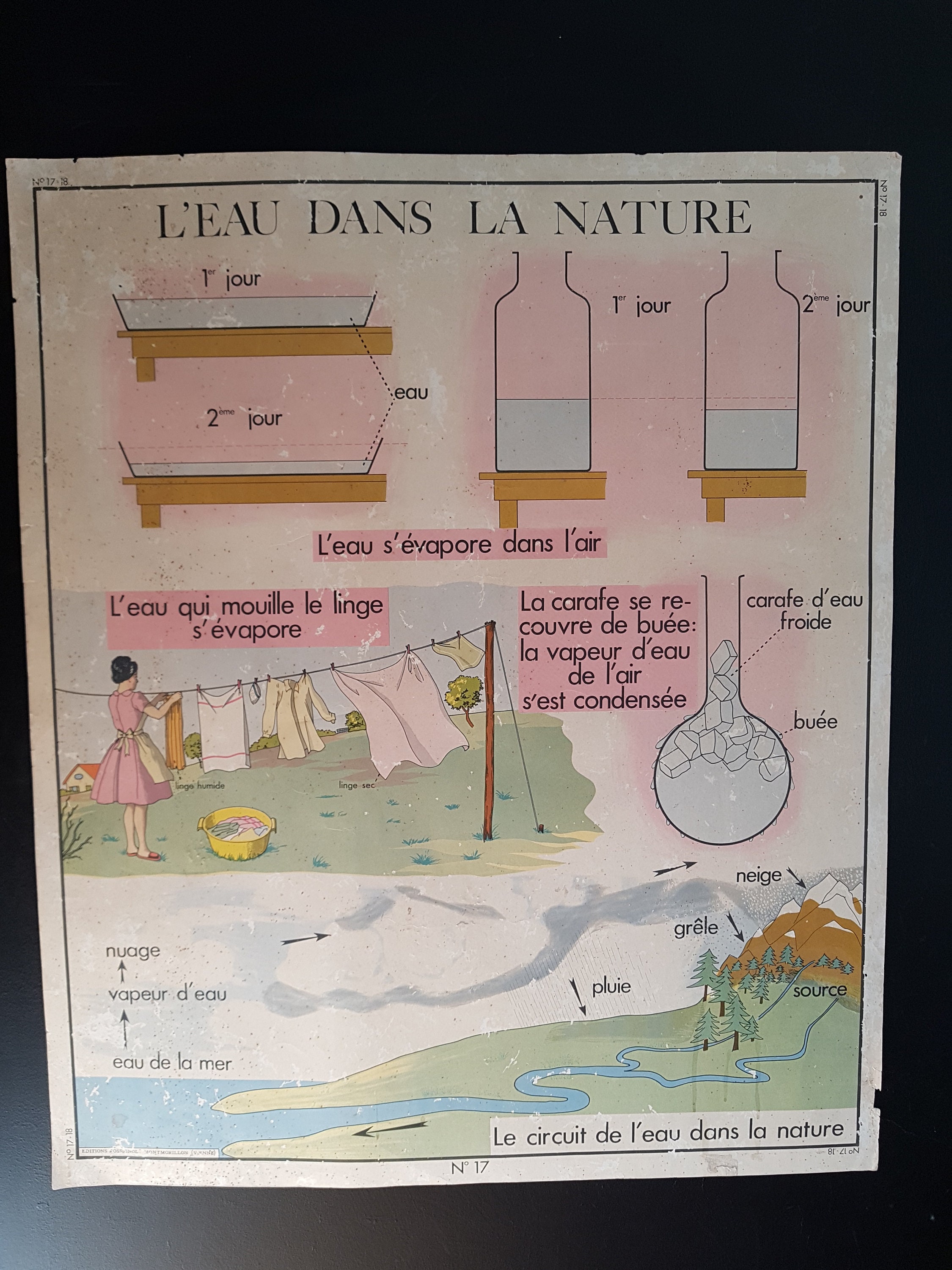 Affiche Vintage Français École. Sciences Rossignol