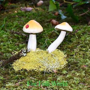 Mushroom Set - Fairy Garden Accessory - Miniature Garden Addition - Fairy Garden Ornament - Uniquely Detailed - Fairy Sized