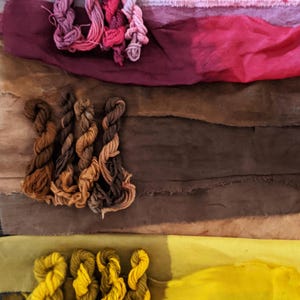Natural Dye Color Shift Kit - Choose from 2 Color Palettes - Cochineal Pink to Fuschia OR Cutch Caramel to Brown-Learn Natural Dye Process afbeelding 1