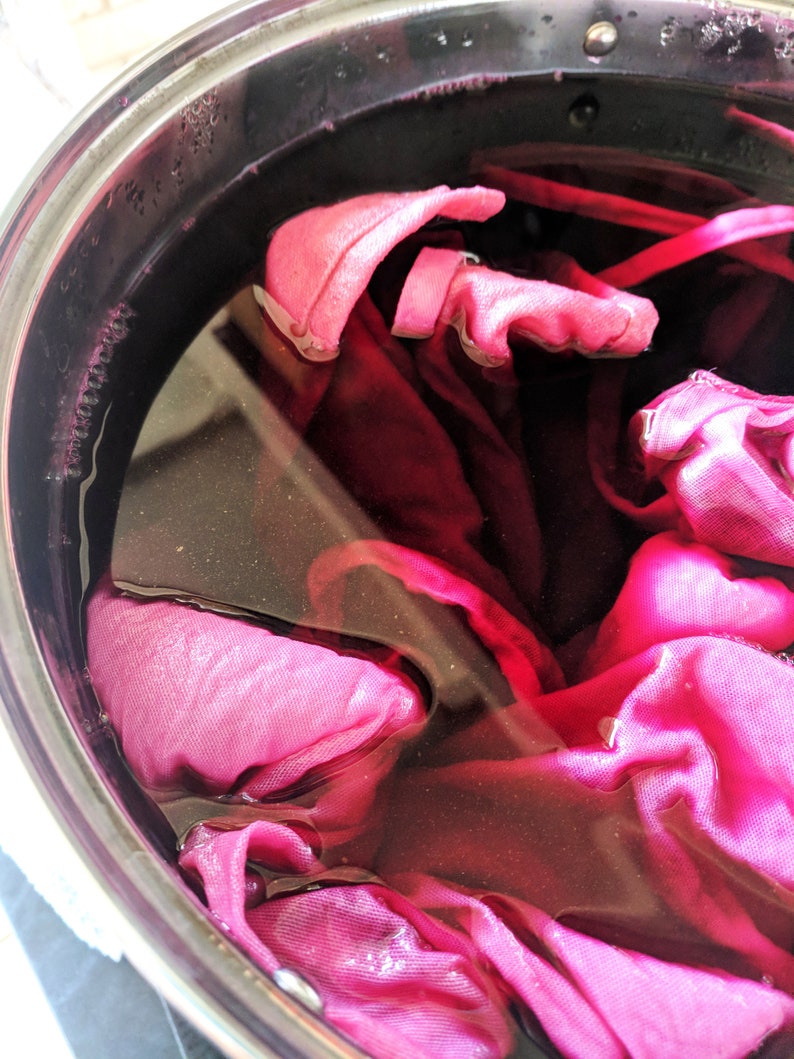 INTRO to NATURAL DYE eBook learn how to natural dye ecodye guide tutorial diy learn to mordant scour textiles fiber extract botanicals image 4
