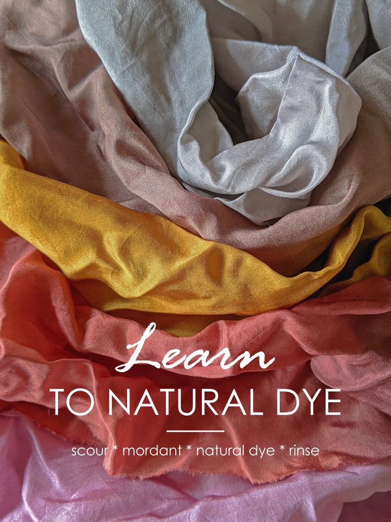 INTRO to NATURAL DYE eBook learn how to natural dye ecodye guide tutorial diy learn to mordant scour textiles fiber extract botanicals image 2