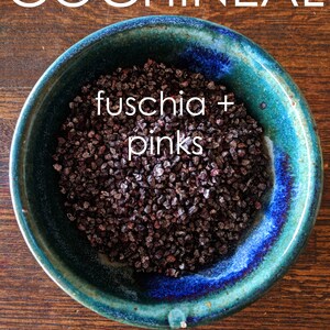 Natural Dye Color Shift Kit - Choose from 2 Color Palettes - Cochineal Pink to Fuschia OR Cutch Caramel to Brown-Learn Natural Dye Process COCHINEAL-PinkPurple
