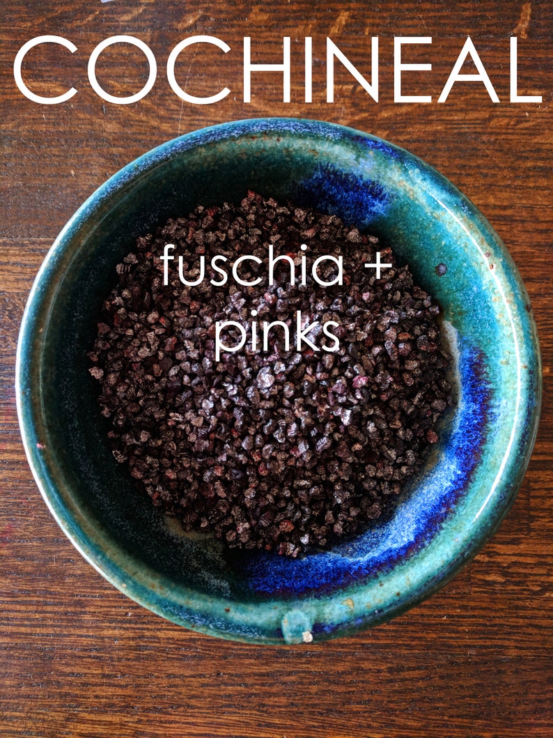 Natural Dye Color Shift Kit - Choose from 2 Color Palettes - Cochineal Pink to Fuschia OR Cutch Caramel to Brown-Learn Natural Dye Process COCHINEAL-PinkPurple