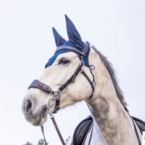 Hackamore bridle with music shanks in brown or black leather