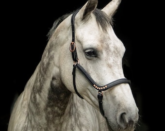 Leather halter anatomic rose gold, black head collar horse, show halter rose gold, photoshoot prob, head collar, gold pink halter anatomic