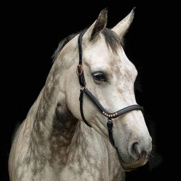 Halter de cuero anatómico de oro rosa, caballo halter negro, halter de pedrería color cobre, halter de espectáculo, sesión de fotos, halter de caballo anatómico